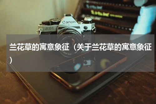 兰花草的寓意象征（关于兰花草的寓意象征）