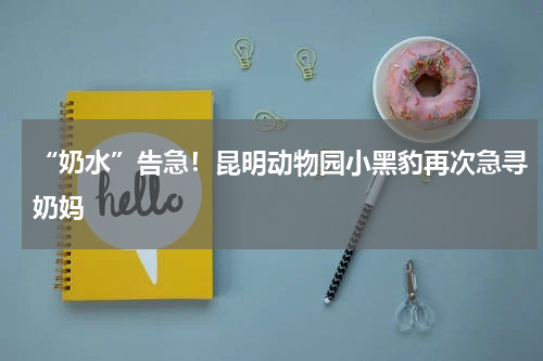 “奶水”告急！昆明动物园小黑豹再次急寻奶妈