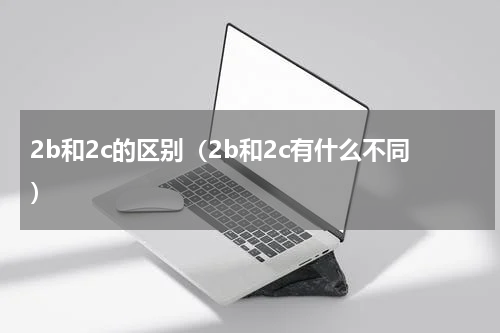 2b和2c的区别（2b和2c有什么不同）