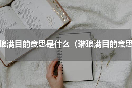 琳琅满目的意思是什么（琳琅满目的意思）