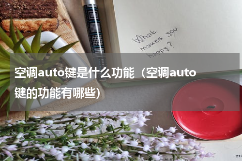 空调auto键是什么功能（空调auto键的功能有哪些）