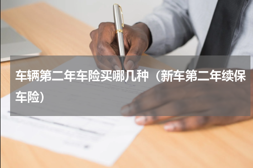 车辆第二年车险买哪几种（新车第二年续保车险）
