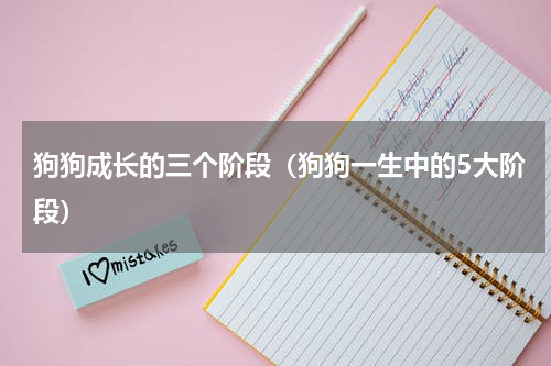 狗狗成长的三个阶段（狗狗一生中的5大阶段）