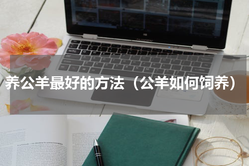 养公羊最好的方法（公羊如何饲养）