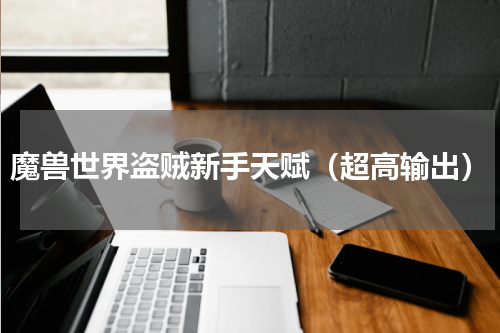 魔兽世界盗贼新手天赋（超高输出）
