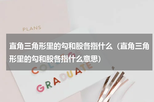 直角三角形里的勾和股各指什么（直角三角形里的勾和股各指什么意思）