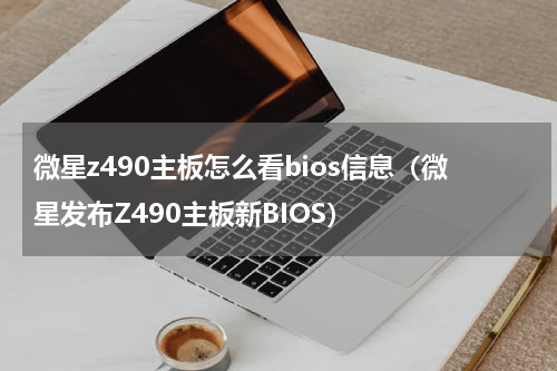 微星z490主板怎么看bios信息（微星发布Z490主板新BIOS）
