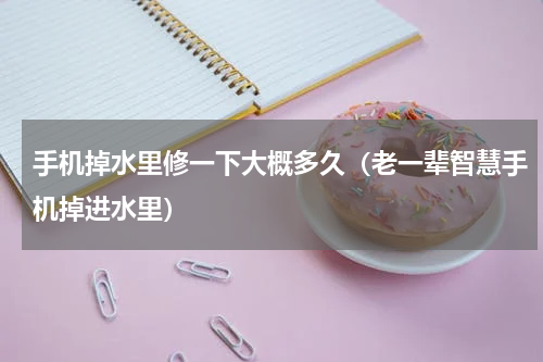 手机掉水里修一下大概多久（老一辈智慧手机掉进水里）
