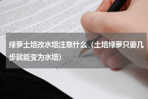 绿萝土培改水培注意什么（土培绿萝只要几步就能变为水培）