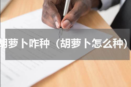 胡萝卜咋种（胡萝卜怎么种）