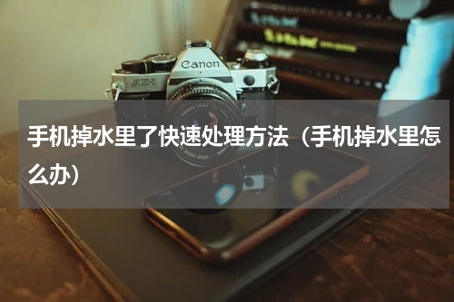 手机掉水里了快速处理方法（手机掉水里怎么办）