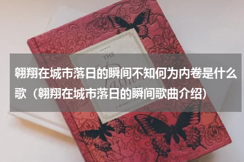 翱翔在城市落日的瞬间不知何为内卷是什么歌（翱翔在城市落日的瞬间歌曲介绍）