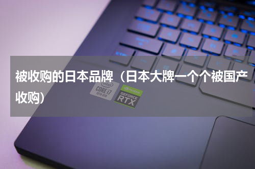 被收购的日本品牌（日本大牌一个个被国产收购）