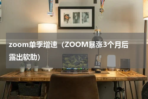 zoom单季增速（ZOOM暴涨3个月后露出软肋）