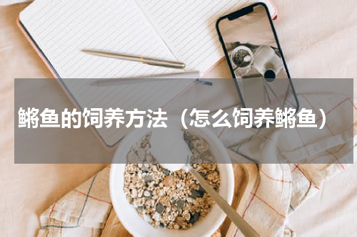 鳉鱼的饲养方法（怎么饲养鳉鱼）