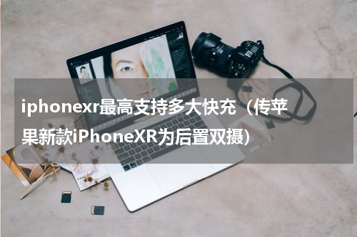 iphonexr最高支持多大快充（传苹果新款iPhoneXR为后置双摄）