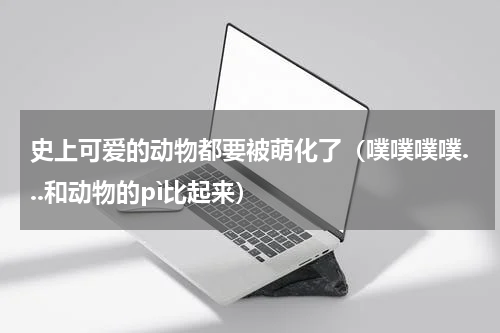 史上可爱的动物都要被萌化了（噗噗噗噗...和动物的pì比起来）