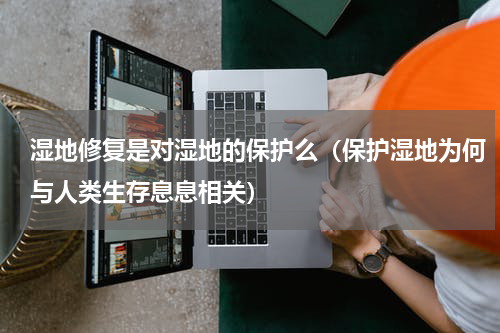湿地修复是对湿地的保护么（保护湿地为何与人类生存息息相关）