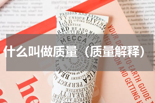 什么叫做质量（质量解释）