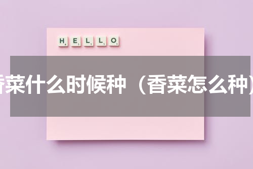 香菜什么时候种（香菜怎么种）