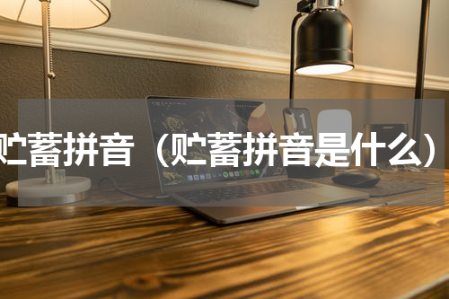 贮蓄拼音（贮蓄拼音是什么）
