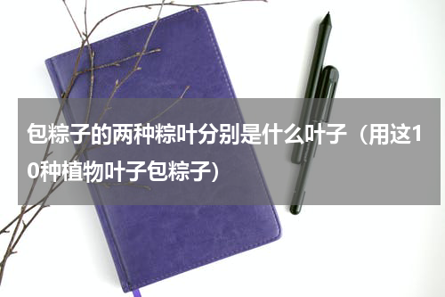 包粽子的两种粽叶分别是什么叶子（用这10种植物叶子包粽子）
