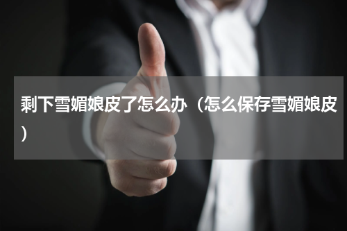 剩下雪媚娘皮了怎么办（怎么保存雪媚娘皮）