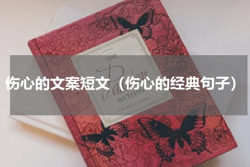 伤心的文案短文（伤心的经典句子）