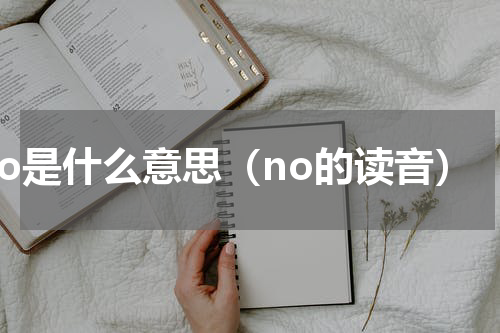 no是什么意思（no的读音）