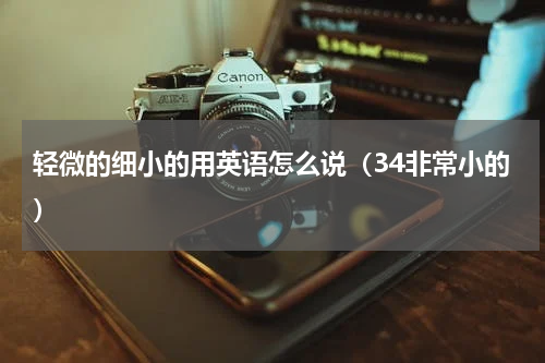 轻微的细小的用英语怎么说（34非常小的）