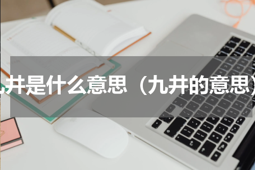 九井是什么意思（九井的意思）
