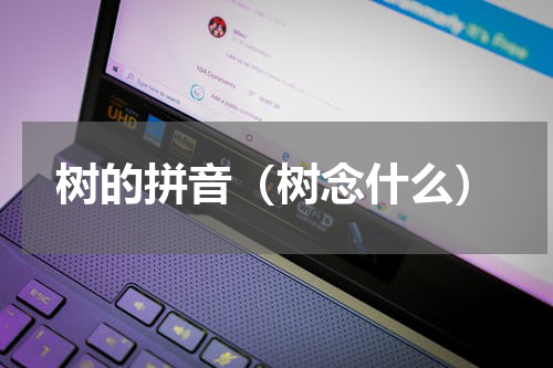 树的拼音（树念什么）