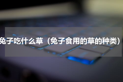 兔子吃什么草（兔子食用的草的种类）