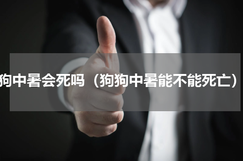 狗中暑会死吗（狗狗中暑能不能死亡）
