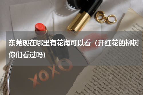 东莞现在哪里有花海可以看（开红花的柳树你们看过吗）