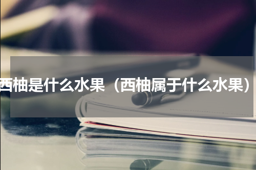 西柚是什么水果（西柚属于什么水果）