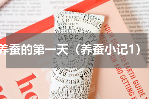 养蚕的第一天（养蚕小记1）