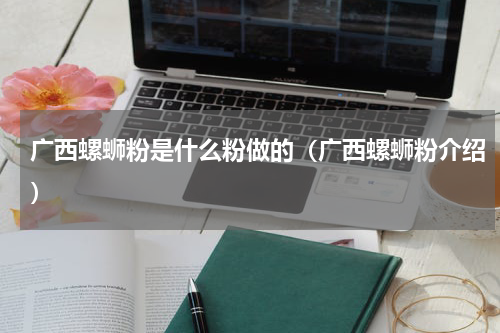 广西螺蛳粉是什么粉做的（广西螺蛳粉介绍）