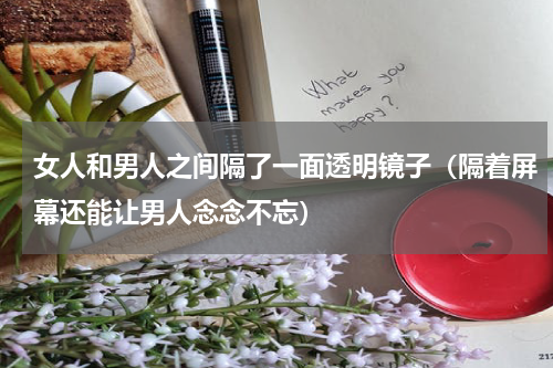 女人和男人之间隔了一面透明镜子（隔着屏幕还能让男人念念不忘）