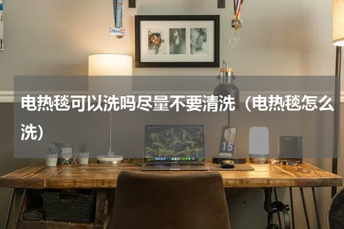 电热毯可以洗吗尽量不要清洗（电热毯怎么洗）