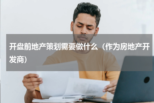 开盘前地产策划需要做什么（作为房地产开发商）