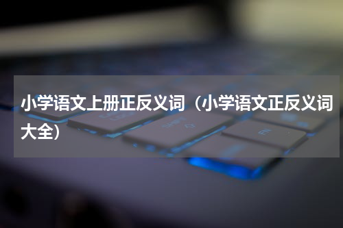 小学语文上册正反义词（小学语文正反义词大全）