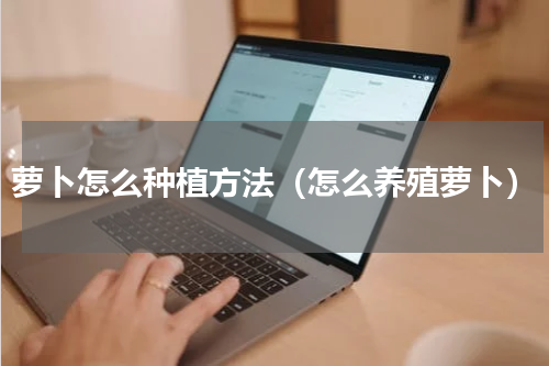 萝卜怎么种植方法（怎么养殖萝卜）