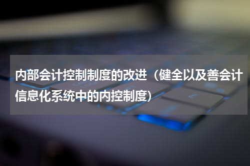 内部会计控制制度的改进（健全以及善会计信息化系统中的内控制度）