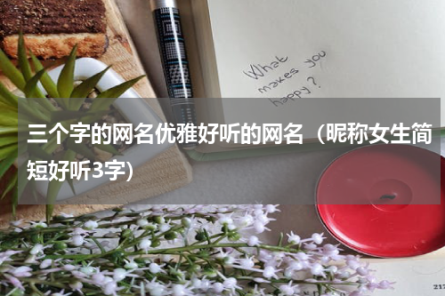 三个字的网名优雅好听的网名（昵称女生简短好听3字）