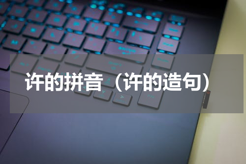 许的拼音（许的造句）