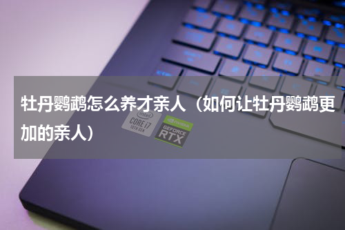 牡丹鹦鹉怎么养才亲人（如何让牡丹鹦鹉更加的亲人）