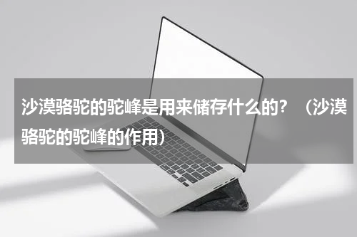 沙漠骆驼的驼峰是用来储存什么的？（沙漠骆驼的驼峰的作用）