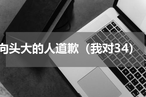 向头大的人道歉（我对34）