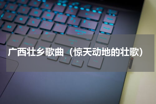 广西壮乡歌曲（惊天动地的壮歌）